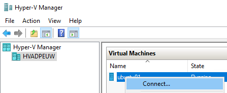 Server Manager